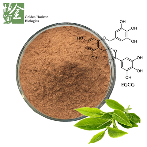 Free Sample 70%-98% EGCG Green Tea Extract Powder