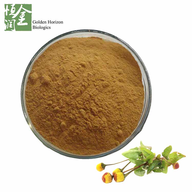 High Quality Spilanthes Acmella Flower Extract