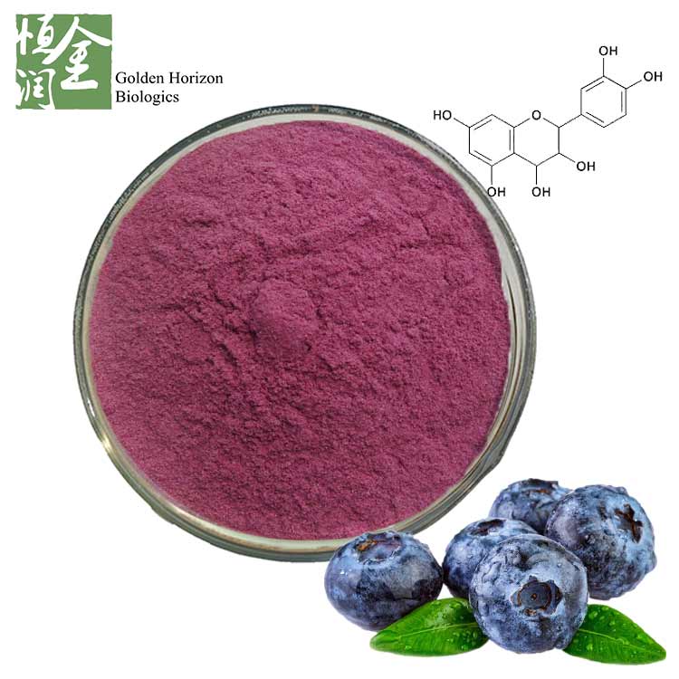 High Quality Bulk Price Blueberry Fruit Extract Powder 
