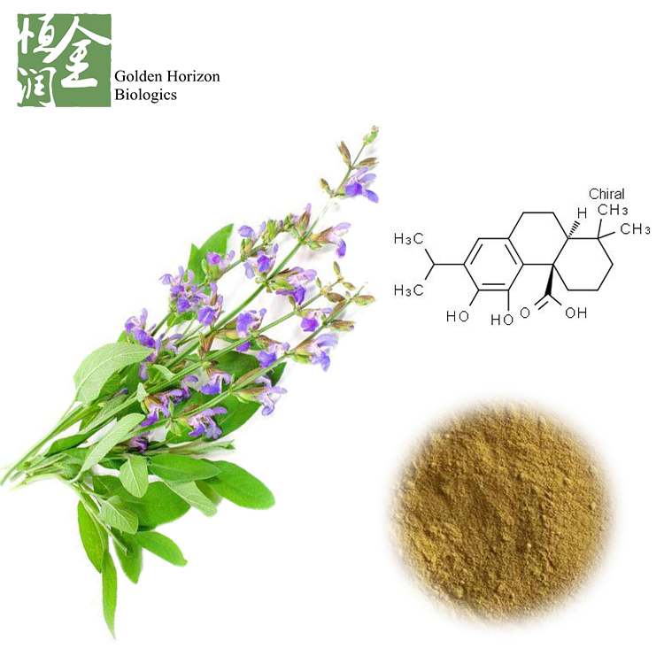 Carnosic Acid Sage Salvia Officinalis Extract