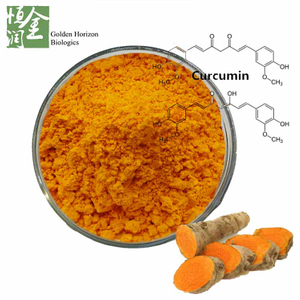  Best Turmeric Extract Powder Curcumin 95% Powder in Bulk
