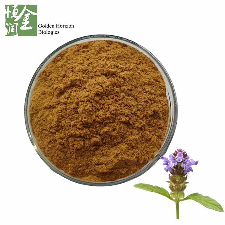 High Quality Spica Prunellae Vulgaris Extract 