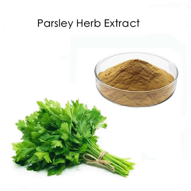 Anti-cancer Celery Extract Celery Leaf Extract Apigenin 98% HPLC