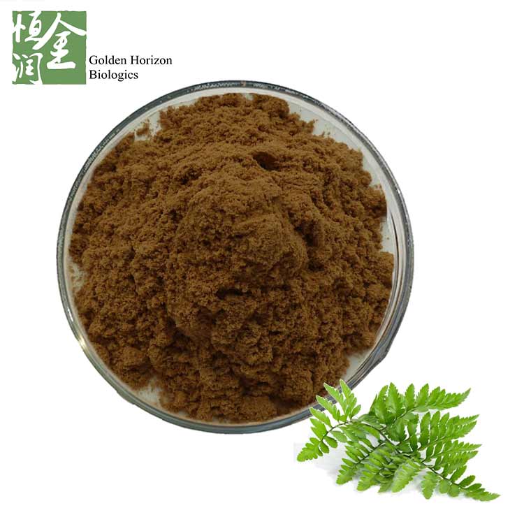 High Quality Natural Polypodium Leucotomos Extract Powder 10% Triterpenoid Saponins 