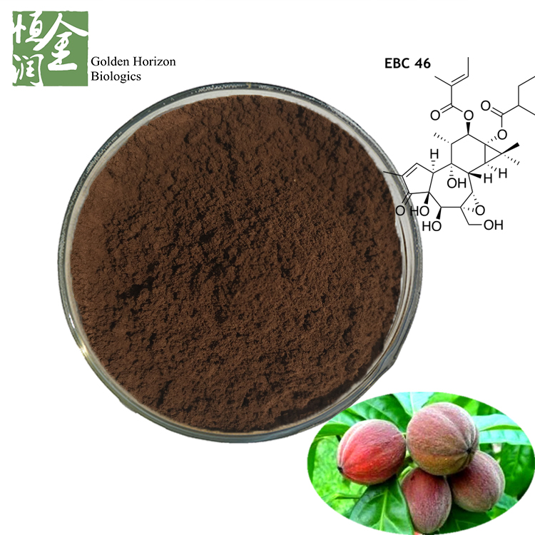 Factory Supply Bulk Blushwood Berry Extract Powder for Health Care 