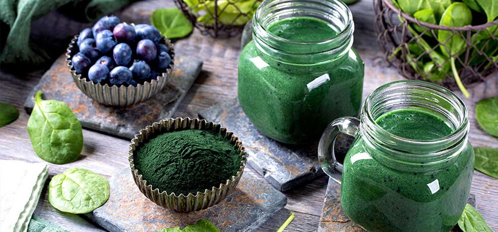 spirulina spirulina