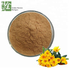Organic Wild Chrysanthemum Extract Powder To Cure Hypertension