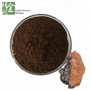 Health Food Raw Material 100% Natural Chaga Extract Chaga Mushroom Powder