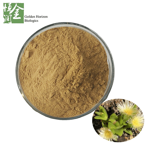 Herbal extract Kanna Extract 12% 20% Mesembrine Sceletium Tortuosum 
