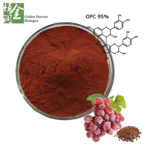 Free Sample Atioxidant Grape Seed Extract OPC 95% in Bulk 