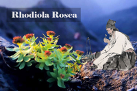 Rhodiola rosea? Something you don't know !