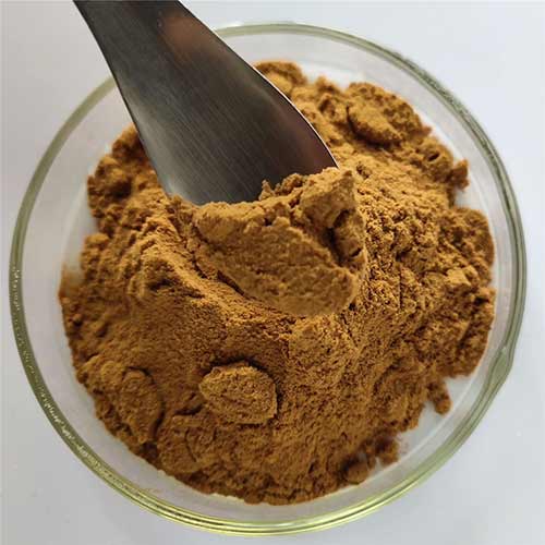 High Qulity Fruit Extract Lychee Extract Powder 40% 50% 70% Polyphenol