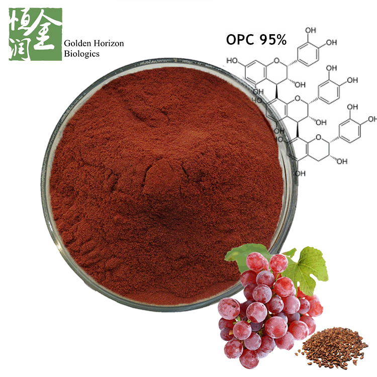 Polyphenol 20%-85% Grape Seed Extract for Kidney Disease