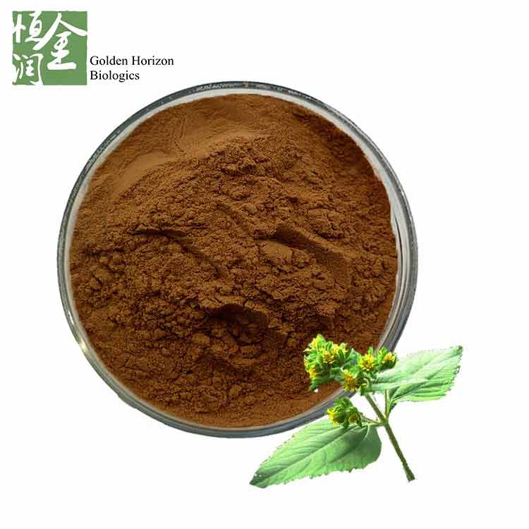 High Quality 100% Natural Herba Siegesbeckiae / Siegesbeckia Orientalis Extract Powder