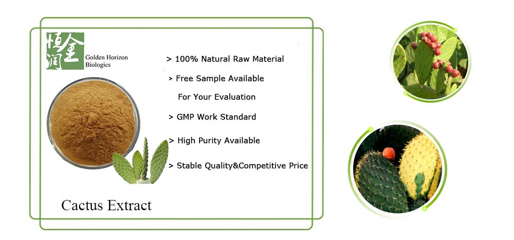 Natural Cactus Extract Powder - Buy Cactus extract powder ...