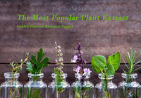 The Most Popular Plant Extracts In the US Market