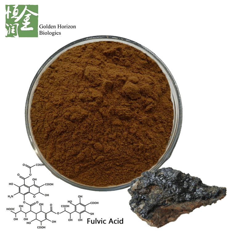 Pure Fulvic Acid 55% Mineral Extract Powder From Shilajit Stone 