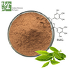  Antioxidant Green Tea Extract Green Tea Extract Joint Pain 90% EGCG