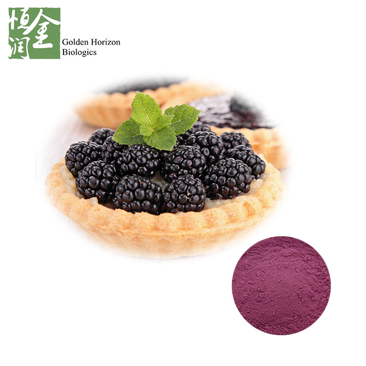 Natural Mulberry Fruit Extract Powder Anthocyanins 5% 25% Mulberry Extract Powder Price