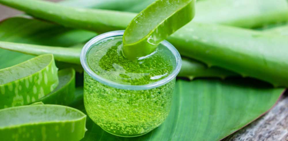 Aloe