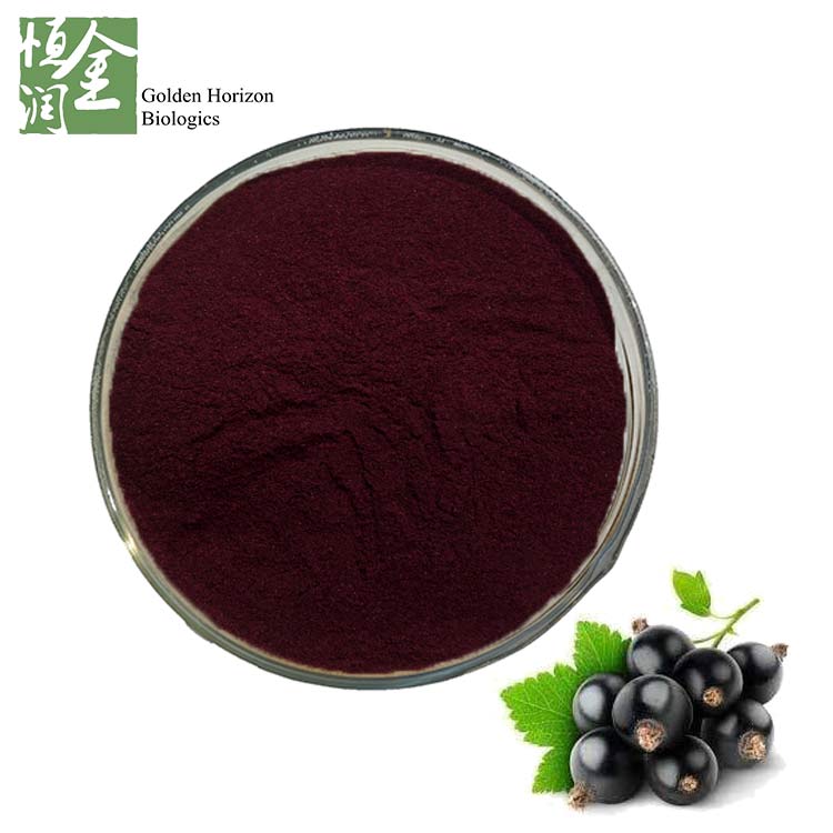 Black Currant Extract 5% Anthocyanins Anticancer Fruit