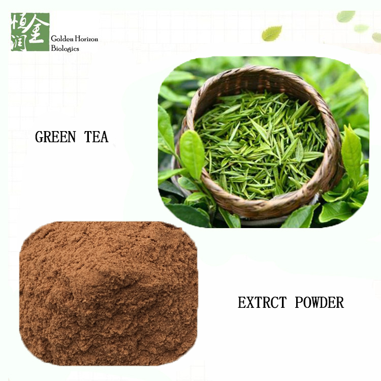 free-sample-70-98-egcg-green-tea-extract-instant-green-tea-powder