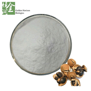 Wholesale Natural Camellia Seed Extract 90% Purity Tea Saponin Powder