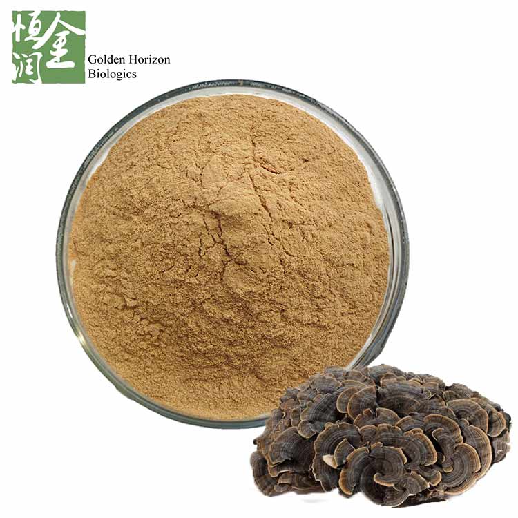 Natural Turkey Tail Mushroom Extract Powder Polysaccharides 30%