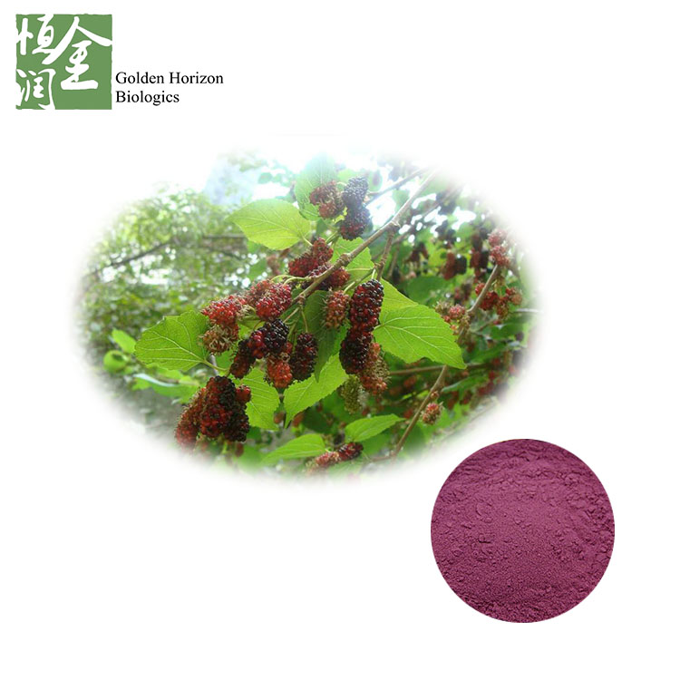Natural Mulberry Fruit Extract Powder Anthocyanins 5% 25% Mulberry Extract Powder Price