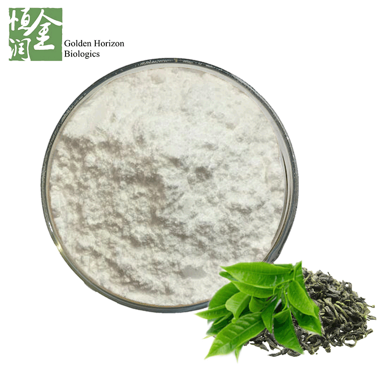 90% EGCG White Powder Green Tea Extract for Natural Antioxidant
