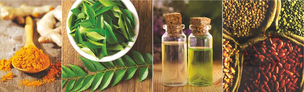 plant extract plant extract