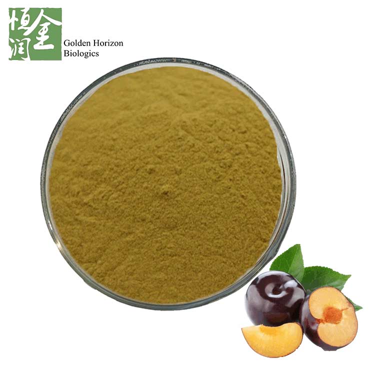 Factory Supply 100% Natural Prune Extract Powder 4:1 10:1 Prune Extract Price