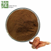 Gluten Free Concentration Cistanche Extract Powder for Essence 