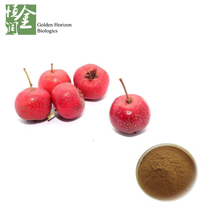 5% 10% Flavones Hawthorn Capsule, Hawthorn Extract, Hawthorn Berry Extract