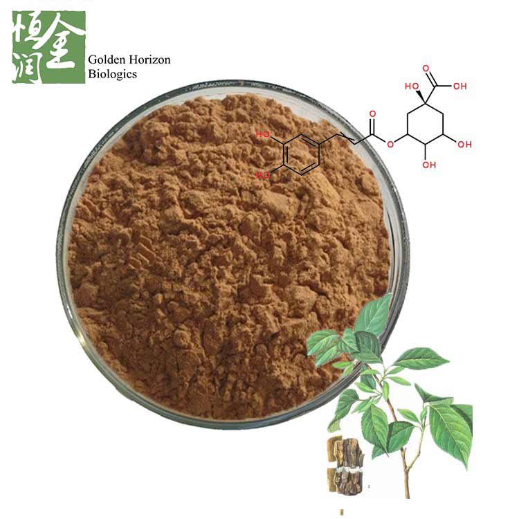 Best Chlorogenic Acid Powder Eucommia Ulmoides Oliver Extract Eucommia Leaf Extract