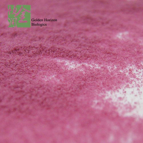 Factory Supply Natural Freeze Dried Blueberry Fruit Powder