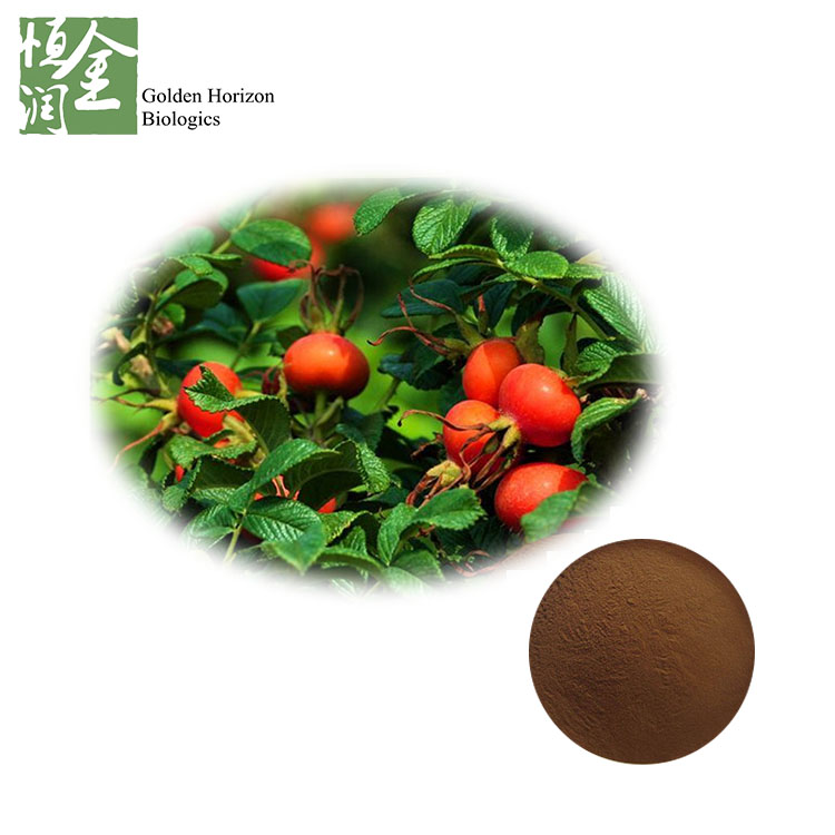 Natural Rose Hip Extract Powder VC Flavone Rosehip Polyphenols