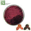Whosale Anticancer Antioxidant Grape Skin Extract Resveratrol 5-98%