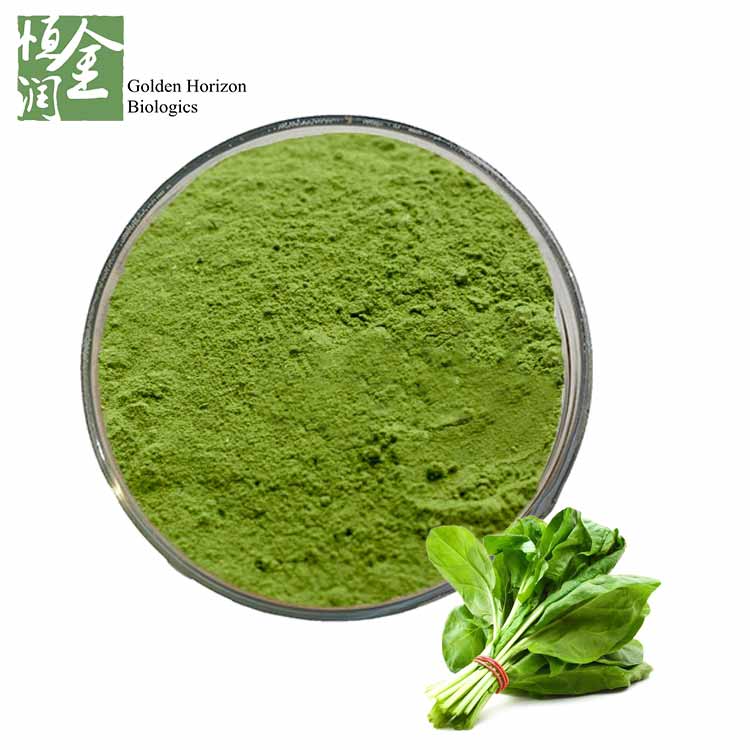 Whosale Best Spinach Extract Powder