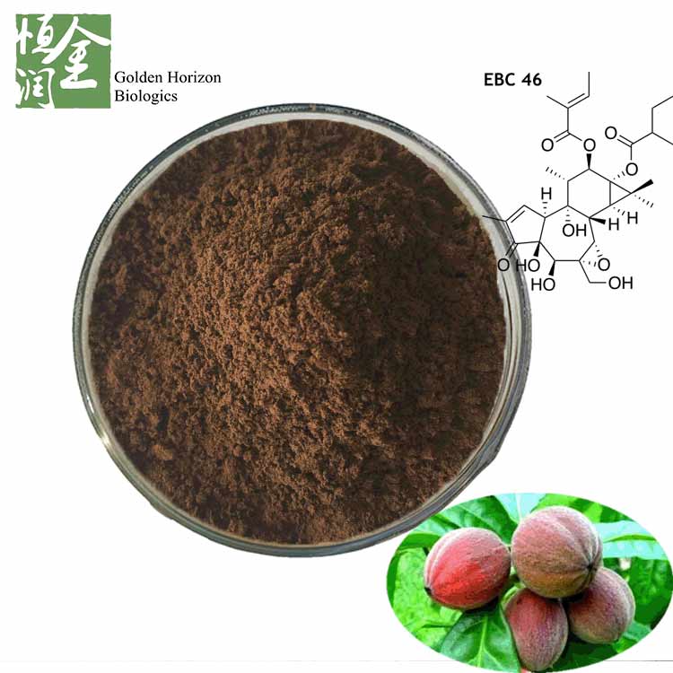 Wholesale Antibacterial Blushwood Berry Extract Power EBC 46 