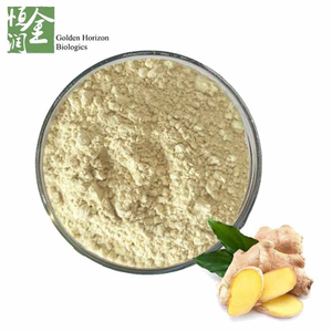 High Quality Natural Ginger Root Extract Water Soluble Gingerol 1% 