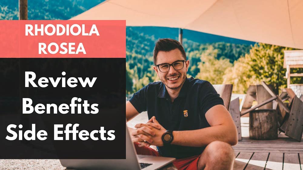 rhodiola rosea benefits rhodiola rosea benefits