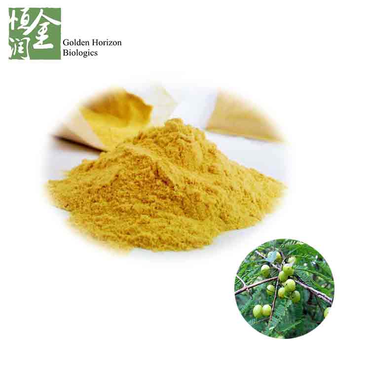 Factory Supplier Good Price 40% Polyphenols indian gooseberry powder / Amla Powder