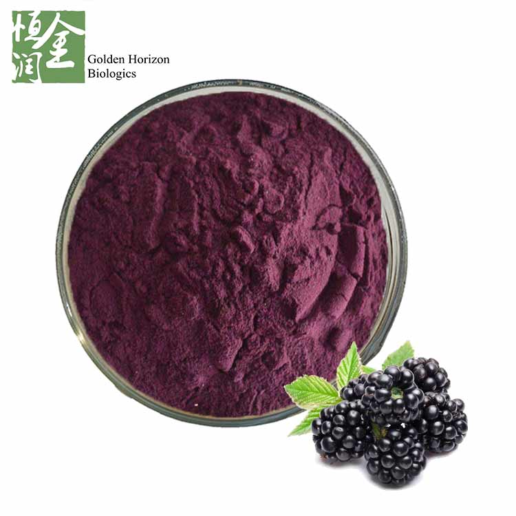 Hot Sale Organic Blackberry Extract 25% Anthocyanins Powder 