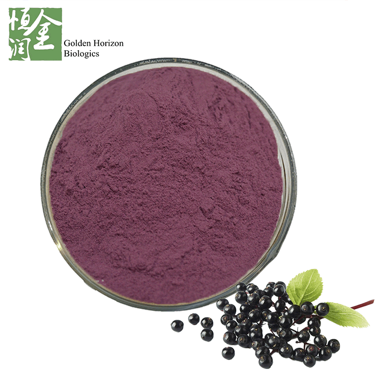 Antioxidant Natural Anthocyanidins 15% Sambucus Nigra Extract