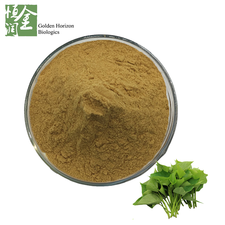 Top Quality Sweet Potato Leaf Extract