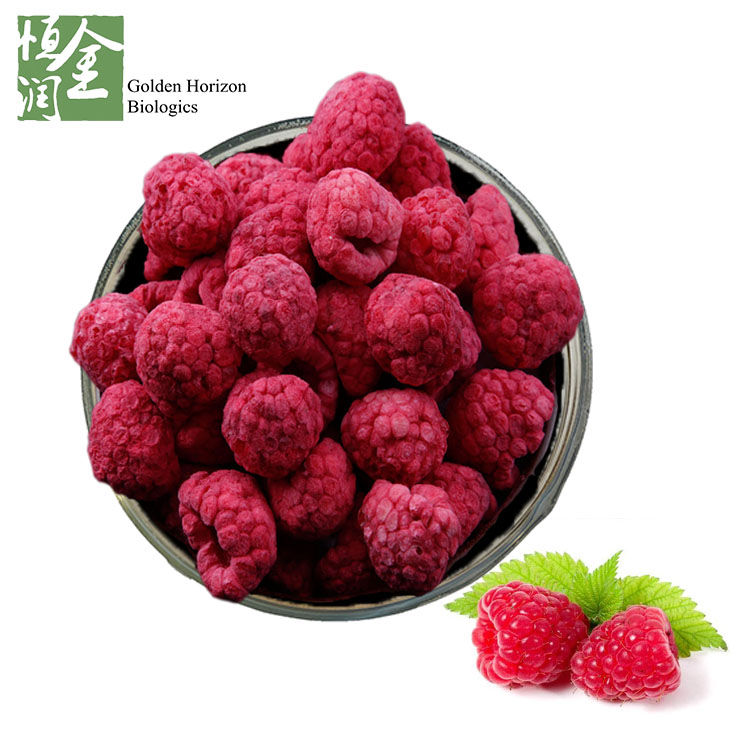 Wholesale High Quality Best Price Fresh Freeze Dried Raspberry Fruit