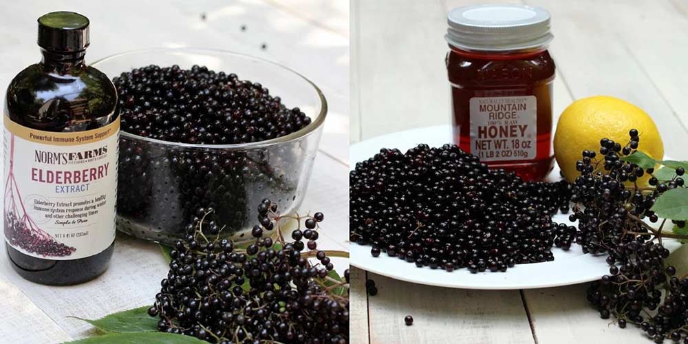 Black Elderberries